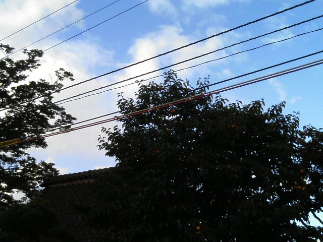 秋の空